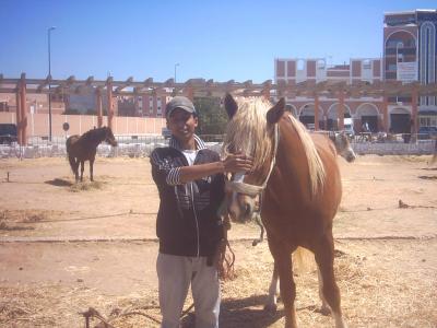 mon ami 3alae